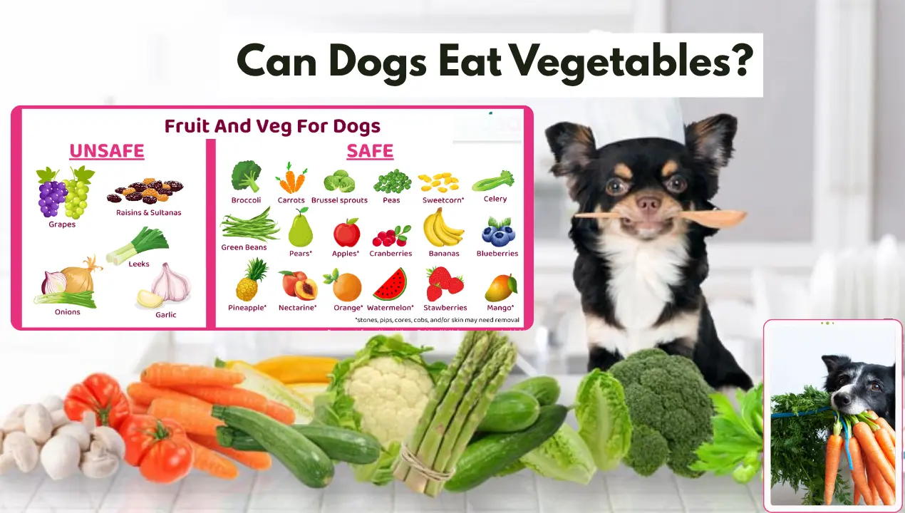 Can Dogs Eat Vegetables