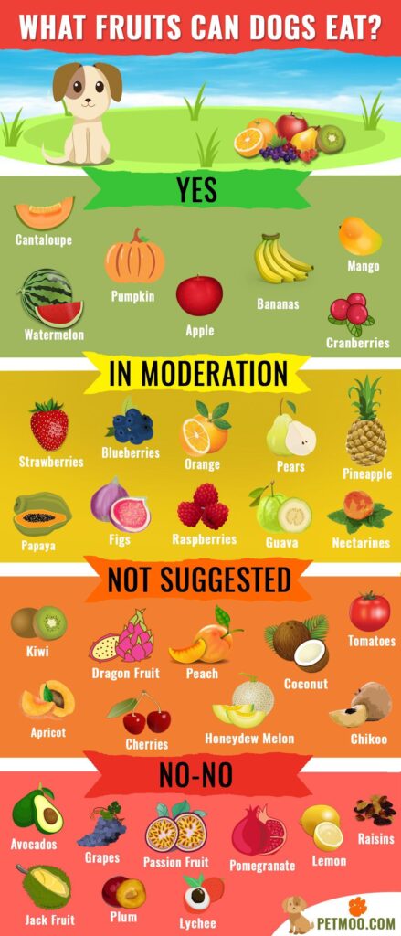 Can Dogs Eat Fruits